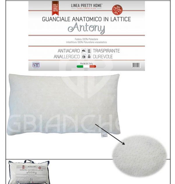 GUANCIALE ANTONY ANATOMICO IN LATTICE