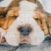 PLAID SWEET SLEEP STAMPATO - immagine 3