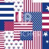 TRAPUNTINO QUILT PRIMAVERILE U.S.A. - immagine 2
