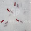 TENDE ISABEL RICAMO ROSSO MISURA 45x150 - immagine 2