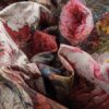 TAPPETO BOSSCHAERT PANNA by SUARDI - immagine 3